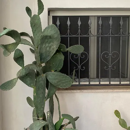 Cortile Benedettini * Catania