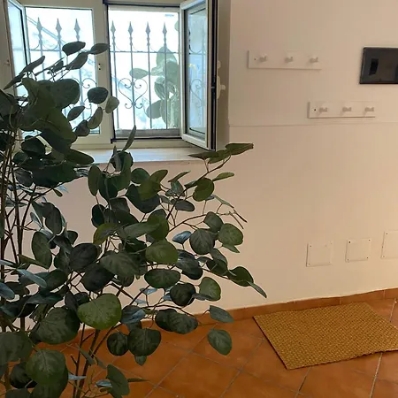 Cortile Benedettini