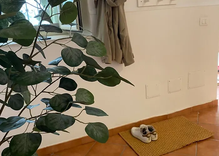 Cortile Benedettini *